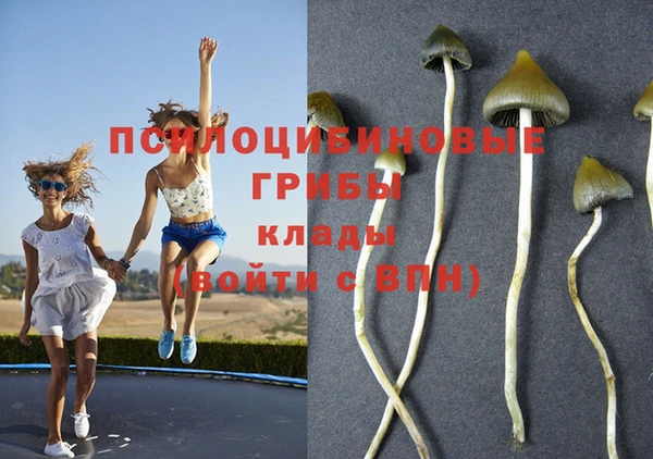 меф Белокуриха