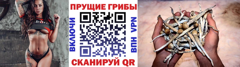 Галлюциногенные грибы Psilocybine cubensis  где купить   Вуктыл 